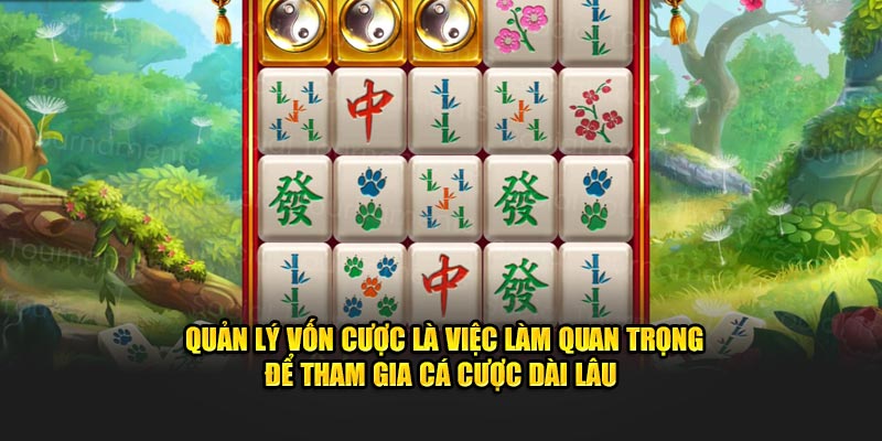 Quản lý vốn cược là việc làm quan trọng để tham gia cá cược dài lâu 