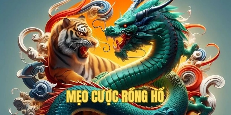 Lý do nên chơi Rồng Hổ tại nhà cái QQ88